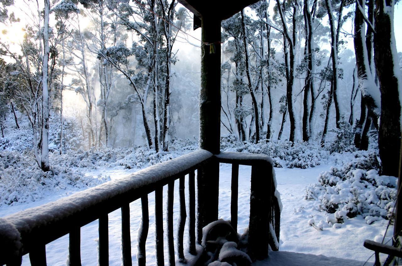 Wombat Cabin Moina Exterior foto