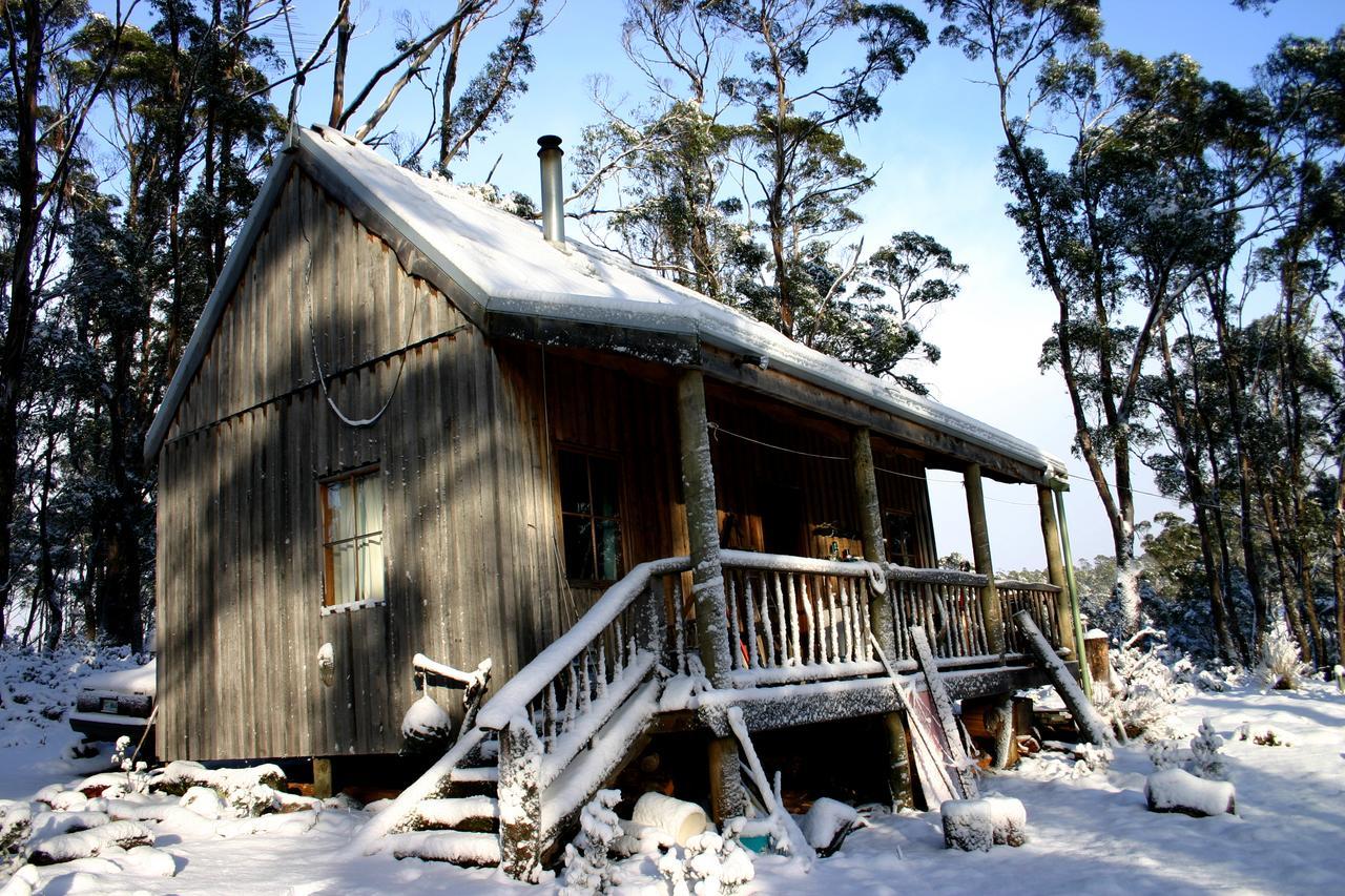 Wombat Cabin Moina Exterior foto