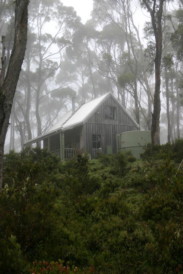 Wombat Cabin Moina Exterior foto
